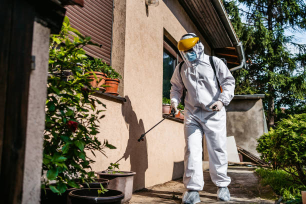 Best Local Pest Control Services  in Aloha, OR